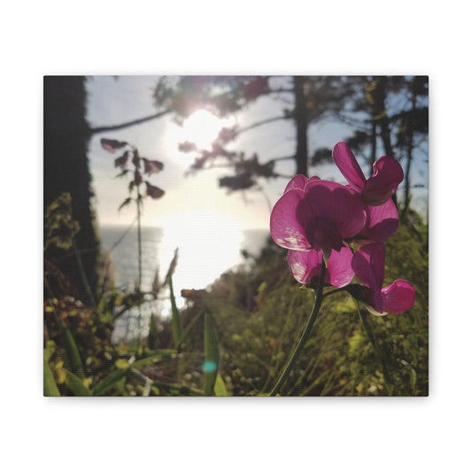 California Floral Sunset Canvas Print - Pacific Ocean Beach Wall Art - West Coast Purple Wildflowers Decor - Nature Inspired Home Gift