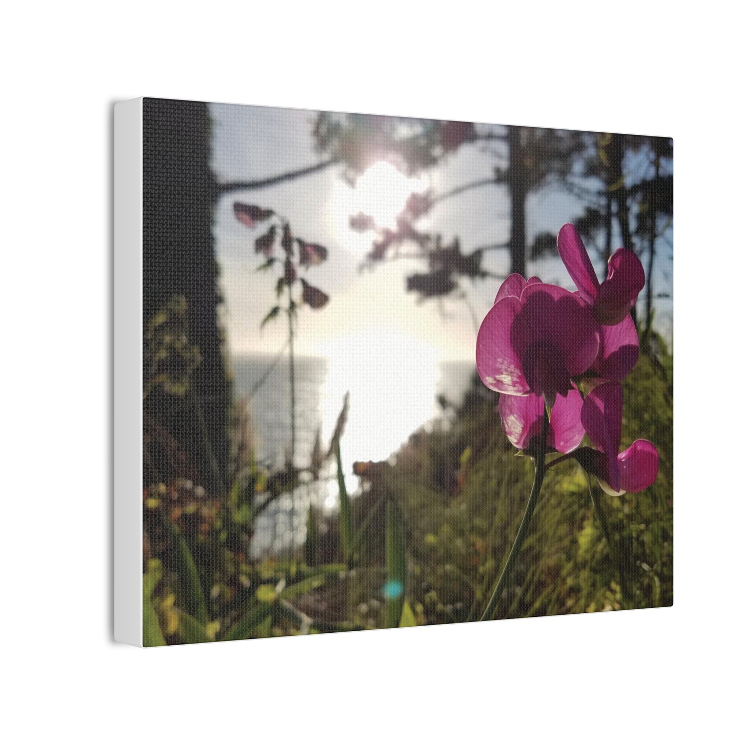 California Floral Sunset Canvas Print - Pacific Ocean Beach Wall Art - West Coast Purple Wildflowers Decor - Nature Inspired Home Gift
