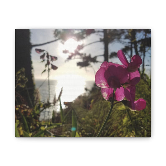 California Floral Sunset Canvas Print - Pacific Ocean Beach Wall Art - West Coast Purple Wildflowers Decor - Nature Inspired Home Gift